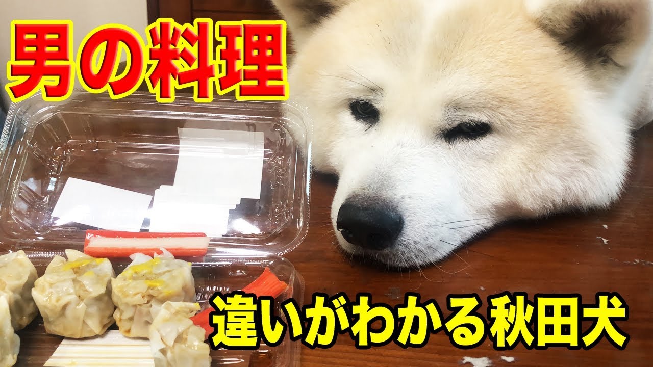 男の料理 違いがわかる秋田犬 かつおは刺身が一番cooking For Blokes Youtube 男の料理 違いがわかる秋田犬 かつおは刺身が一番cooking For Blokes Youtube