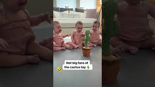 Triplets Baby Scare From Cactus Toy 🤣😅🥺 Cute Baby Reaction 😍 #shorts