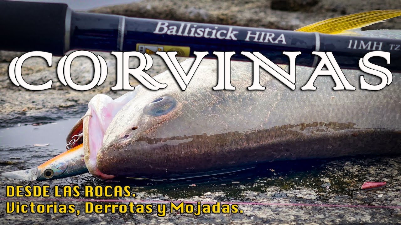 Pescando corvinas desde las rocas 🎣, victorias, derrotas y muchas mojadas 😅🌊🇨🇱