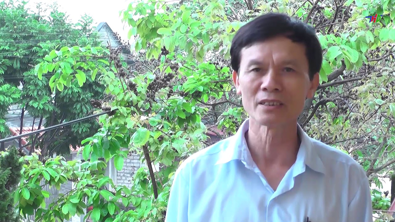 Quy trình trồng và chăm sóc sắn dây