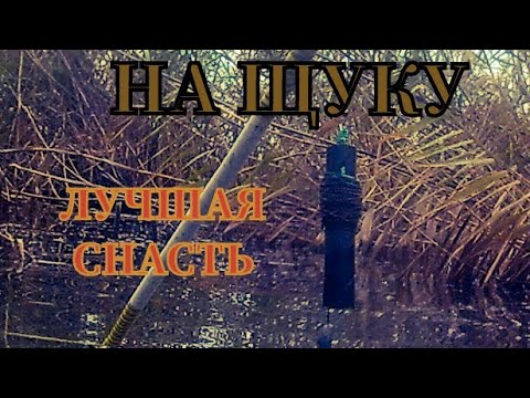 РЫБАЛКА НА ЖЕРЛИЦЫ
