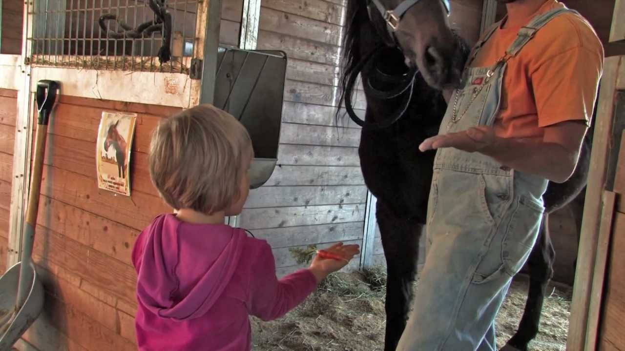 Faith & Hope on a Farm (Part of Latham’s Help Me Help You series)