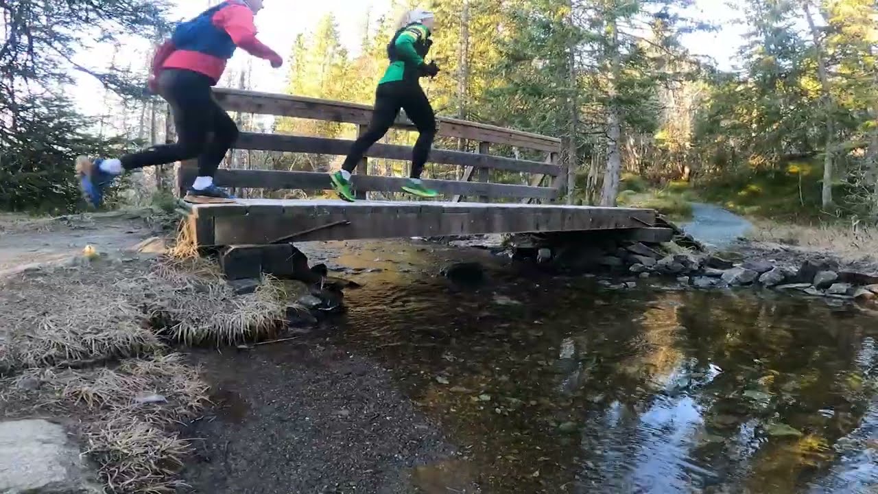 Bymarka i Trondheim | HL/OLL 2023