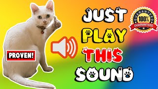 Mother cat calling for her kittens sound effect ⭐ mom cat sounds to attract cats screenshot 4