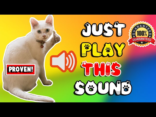 Mother cat calling for her kittens sound effect ⭐ mom cat sounds to attract cats class=