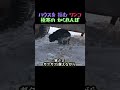 暖かい小屋を拒否 氷点下のガチかくれんぼ