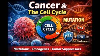 Cancer and the Cell Cycle Explained | Checkpoints, Mutations & Genes
