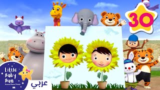 الحيوانات المرحة | اغاني اطفال | ليتل بيبي بام - Funny Animals Song