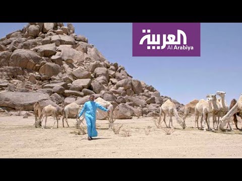 هكذا كانت تشتكي الخنساء الفقر إلى أخيها صخر