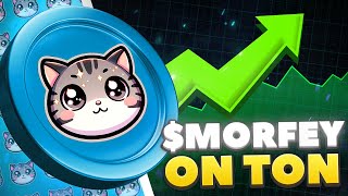 $MORFEY - THE BELOVED CAT OF NIKOLAI DUROV ON TON!