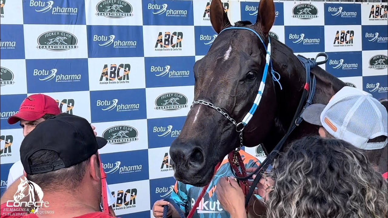 FINAL DA COPA DO MUNDO - JOCKEY CLUB CARAZINHENSE | AZIPÍVEL - PROGRAMA CONECTE MAIS