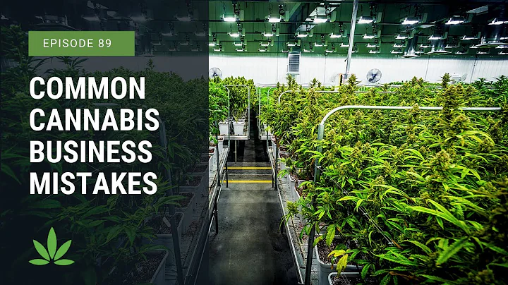 Common Mistakes Cannabusinesses Make