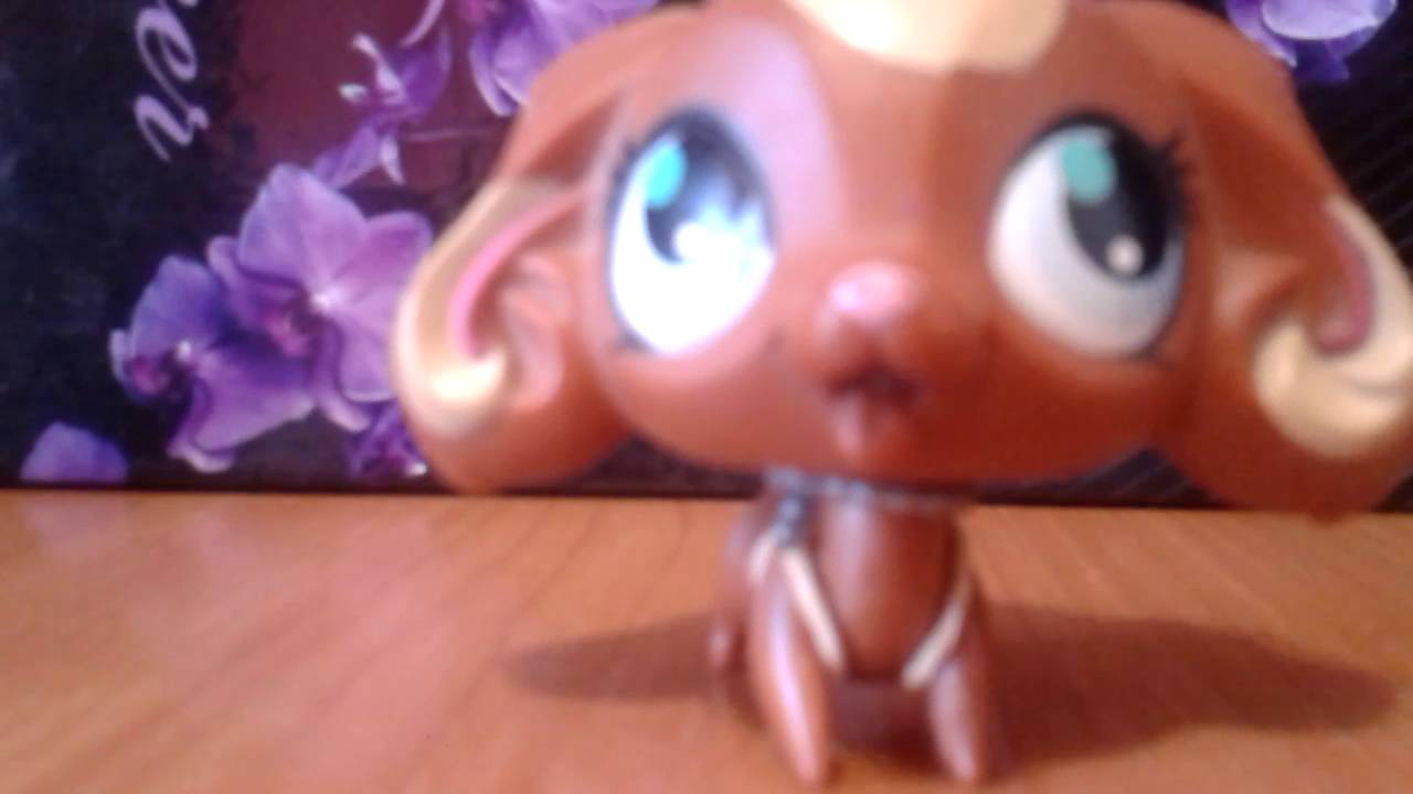 песня пет шоп твоя тень - YouTube