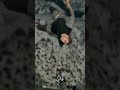 فيلم سقوط  