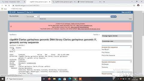 Tutorial Dasar Bioinformatika Dengan NCBI