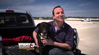 WWAY Anchor Profile - Daniel