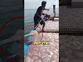 Ce Qui Se Passe Quand Les Méduses Envahissent L'Océan