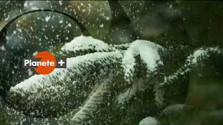 Planete - Fragment Identu 201?