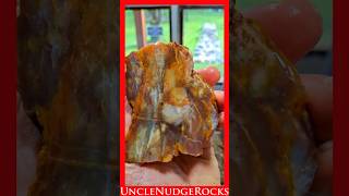 Rock Saw Cutting Mystery!!! #300 Shorts #rockhounding #lapidarysaw #rockcutting #lapidary #agate