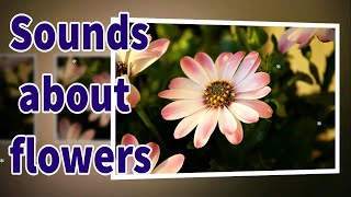 Beautiful relaxing music new vol 157, relaxing sounds youtube about flowers, music for stress relief