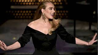 Adele says shes single amid rumors the singer is dating rapper Skepta