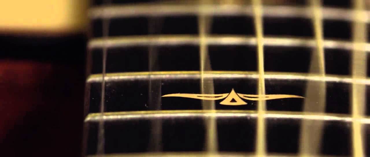 Acoustic Pickup By Taylor Guitars 