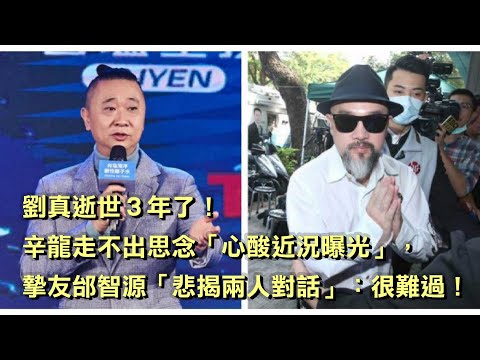 劉真逝世3年了！辛龍走不出思念「心酸近況曝光」，摯友邰智源「悲揭兩人對話」：很難過！