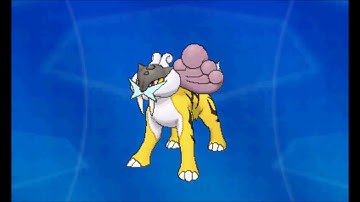 Pokemon Omega Ruby/Alpha Sapphire - Catching Raikou