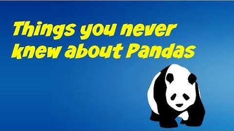 Things you never knew about PANDAS