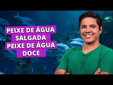 Vídeo: São peixes de água doce ou salgada?