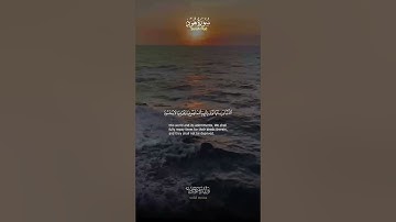 سورة هود آيات تلامس القلوب وتبعث السكينة والطمأنينة | Surah Hud Heart-touching Verses Bringing Trq