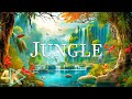 JUNGLE 4K - The World’s Largest Tropical Rainforest | Relaxation Film with Calming Music