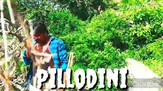 Neverotheliyanipillodini