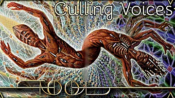 Tool - Culling Voices | Reaction (Reakcija/Diskusija) /with English subtitles