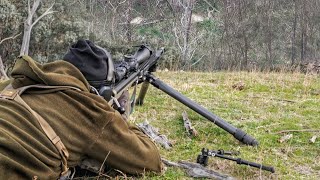 Deer Hunting Australia With A 338 LAPUA & 300 PRC