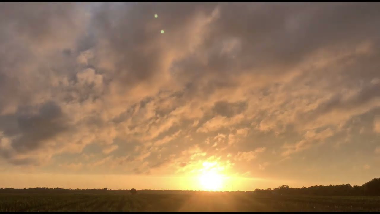 Dick Buscher & The Cliches - Run Boy