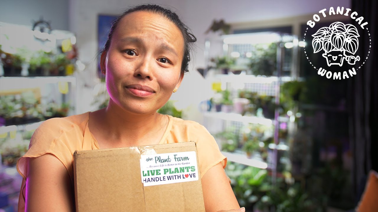 Dream Plant Unboxing with a Surprise TWIST Ending!