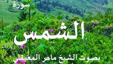 سورة الشمس بصوت الشيخ / ماهر المعيقلي 91