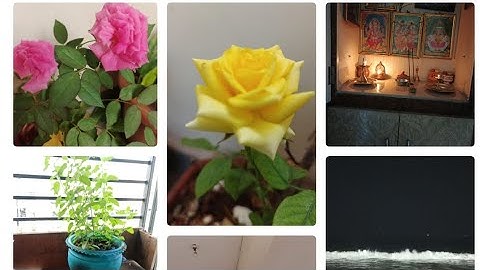 Daily routine vlog #మా వారు అక్కడికి వెళ్లారు#అయ్య బాబోయ్ అని తిరిగి వచ్చేసారు#అయ్యో ఏమైంది బాబోయ్!