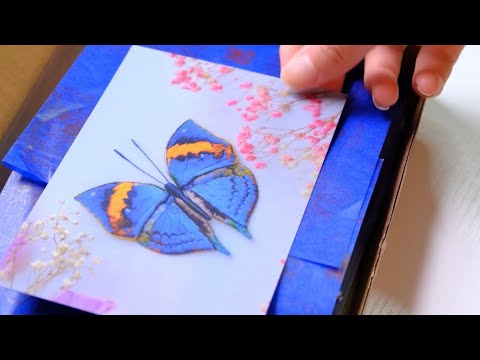Packing a butterfly kit. - YouTube