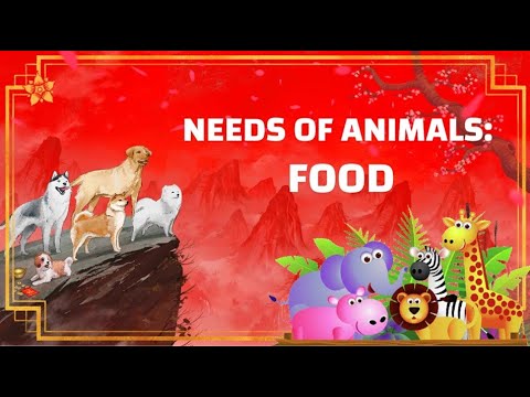 Needs of Animals - Food - YouTube