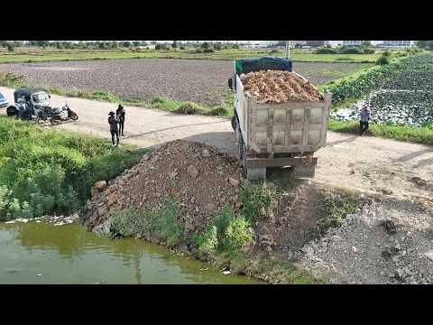 Impressive Quick Task! Talented Operator fill the Soil using Heavy Trucks & Powerful Dozer