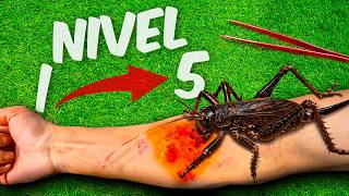 Üzeri̇me Asi̇t Kustu Çekirgeler Seviye 15