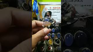 Japri Aja Bosque || Bahan Biru Ready Stok