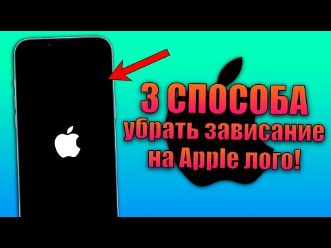 iPhone завис на яблоке, что делать? 3 способа вернуть айфон к жизни!