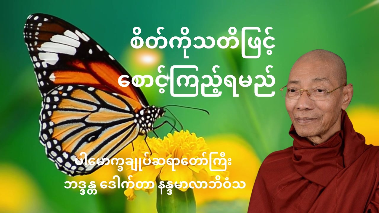 စိတ်ကိုသတိဖြင့်စောင့်ကြည့်ရမည်