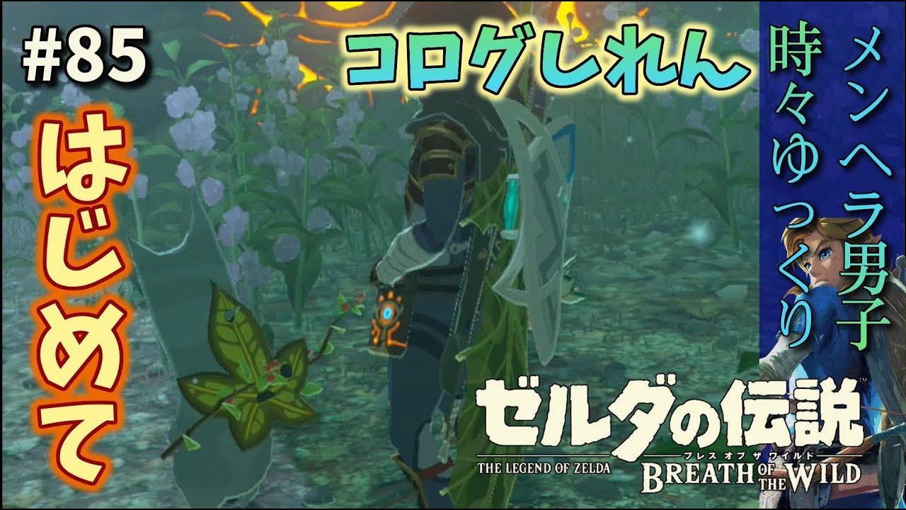 ラブリー Botw 祠 難しい がじゃなたろう ラブリー Botw 祠 難しい がじゃなたろう