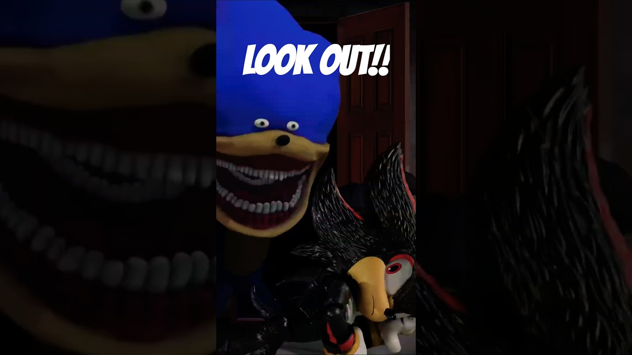 Look Out Shadow! Sonic Stop Motion Short 