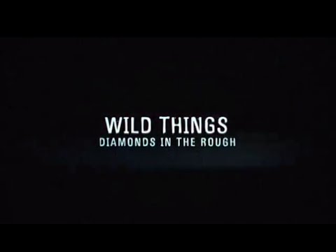 Wild Things: Diamonds in the Rough (2005) trailer