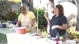 Coral Gables Farmer's Market: Cooking Demonstration